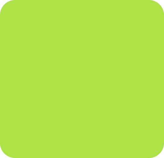 Rectangle 181