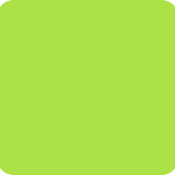 Rectangle 181